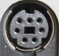 7 pin mini-DIN female (key in the center) photo